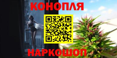 гидра Донецк