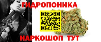 гидра Заволжье