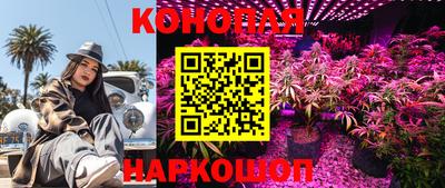 гидра Заволжье