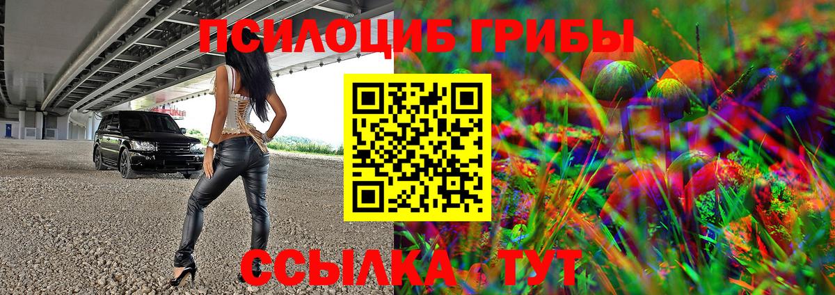 Галлюциногенные грибы Cubensis Кулебаки