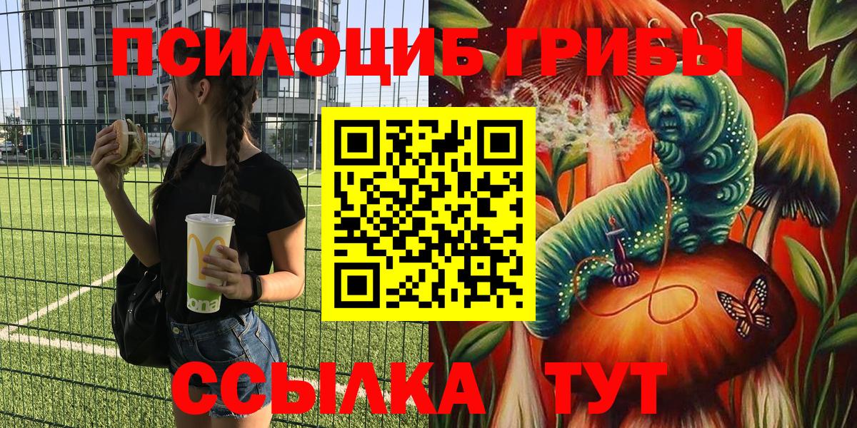 Кулебаки  Псилоцибиновые грибы GOLDEN TEACHER  где купить наркоту  Вход с VPN 